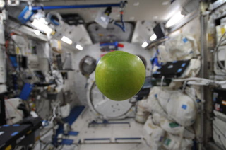Illustration for article titled Breathtaking SLR photos show life aboard the ISS